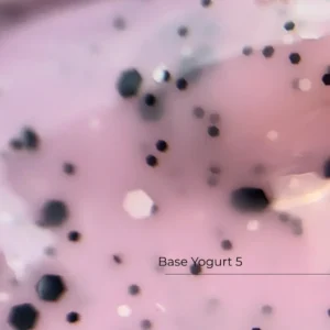 Base Yogurt №5