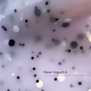 Base Yogurt №6