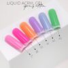 Liquid Spring Edition 6x30ml