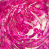 Builder Gel Flower Fairy №4 Crystal Professional HEMA & TPO FREE
