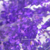 Builder Gel Flower Fairy №5 Crystal Professional HEMA & TPO FREE